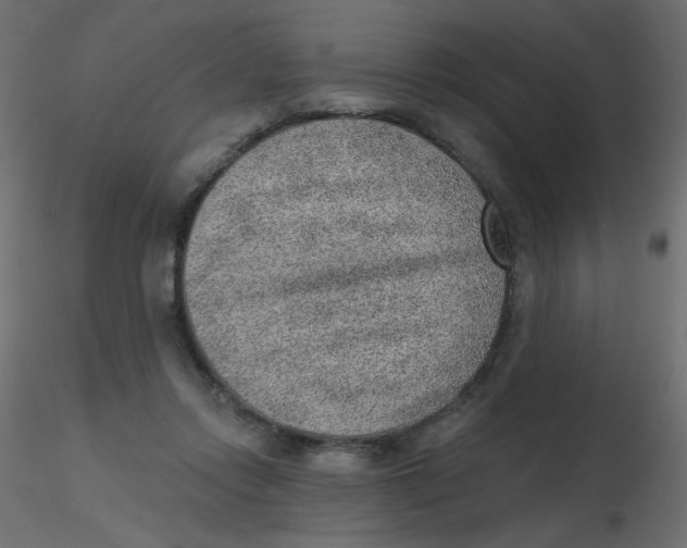 X0000116630358200912312204