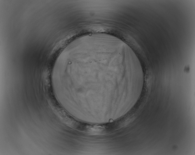X0000116630359200912312204