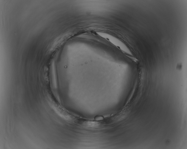 X0000116630361200912312205