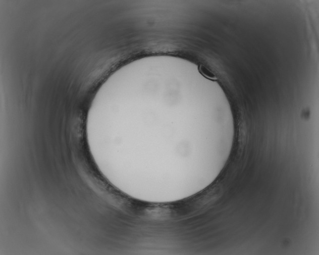 X0000116630362200912312205