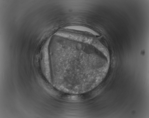 X0000116630365200912312205