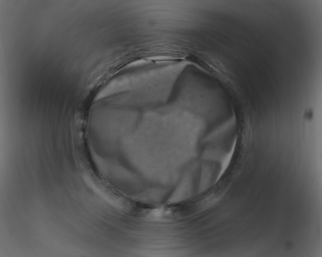 X0000116630366200912312205