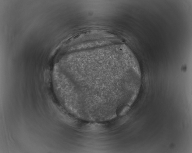 X0000116630367200912312205
