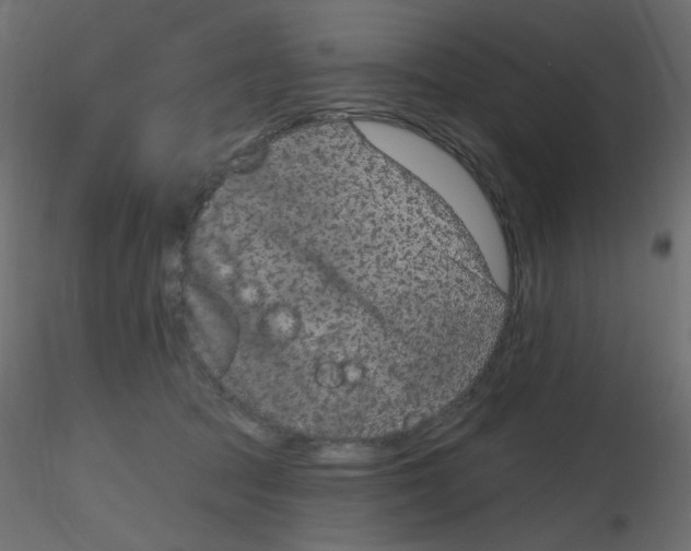 X0000116630369200912312205