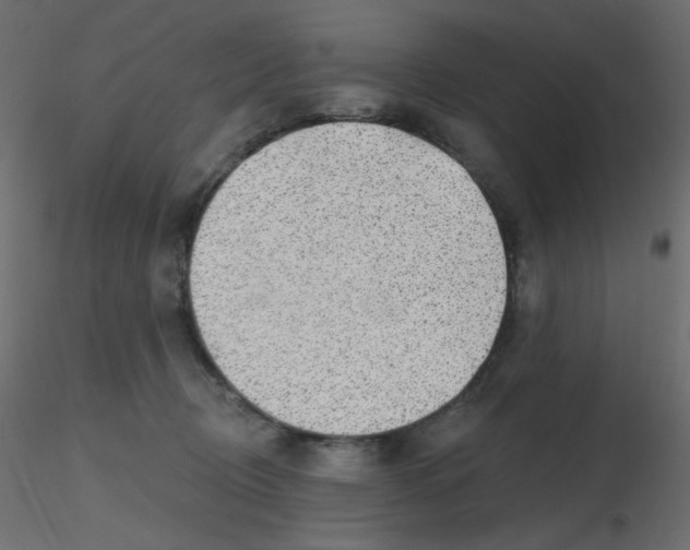X0000116630370200912312205