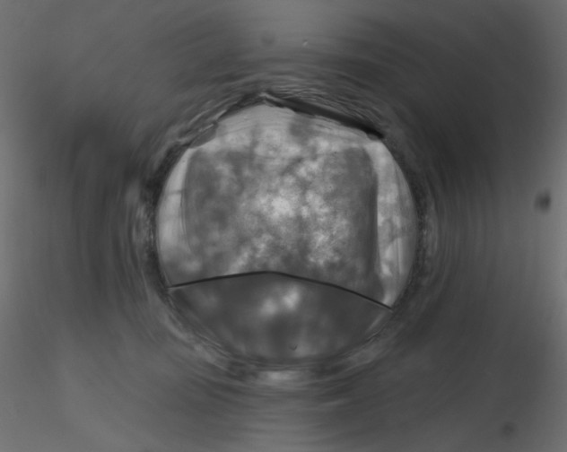 X0000116630371200912312205