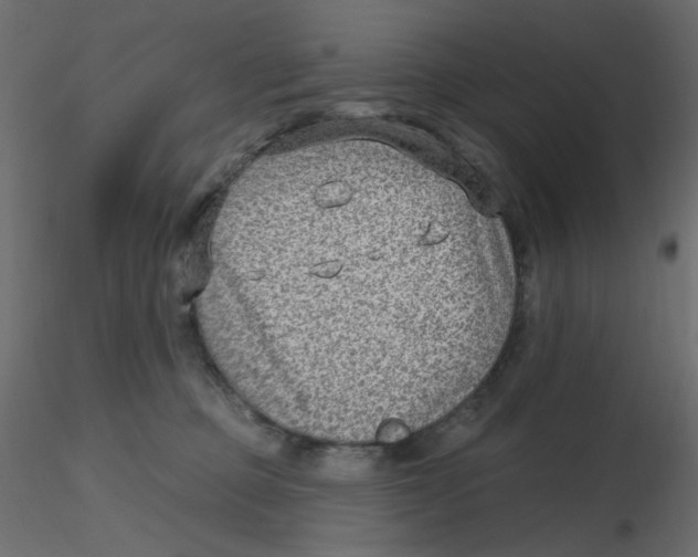 X0000116630373200912312205