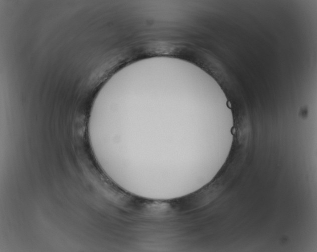X0000116630374200912312205