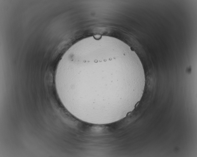 X0000116630375200912312205