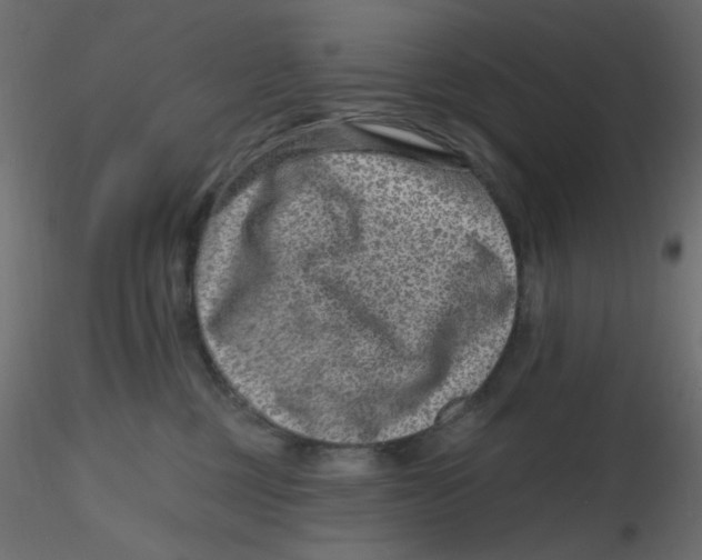 X0000116630377200912312205