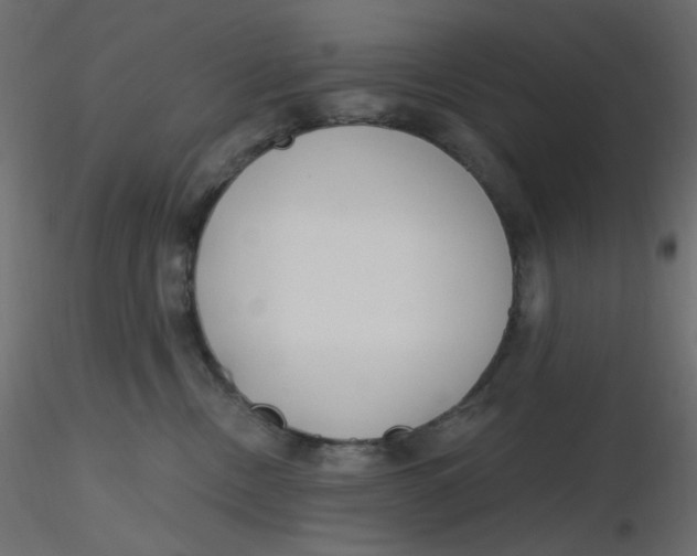 X0000116630378200912312205
