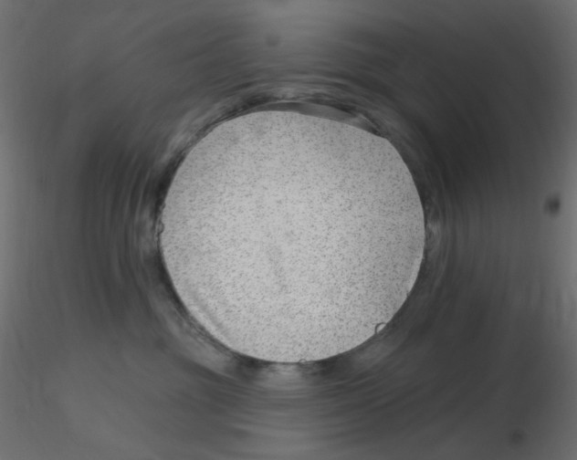 X0000116630381200912312205