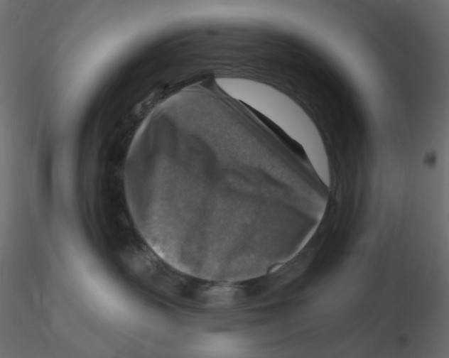 X0000116630383200912312205