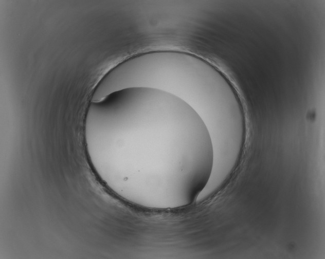 X0000116630385200912312204