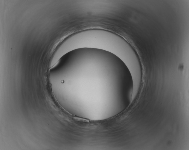 X0000116630386200912312204