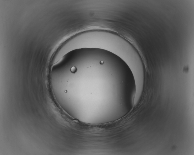 X0000116630387200912312204