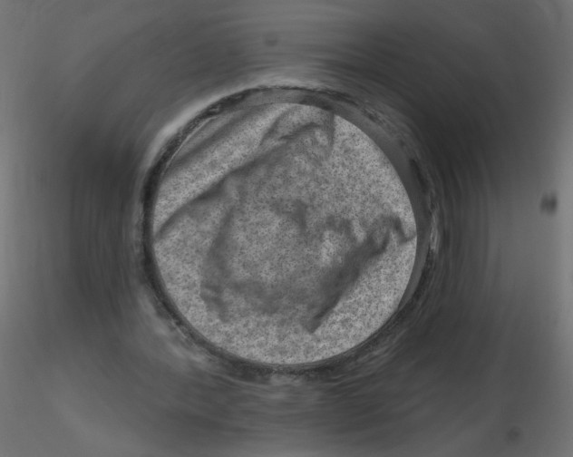 X0000116630388200912312204