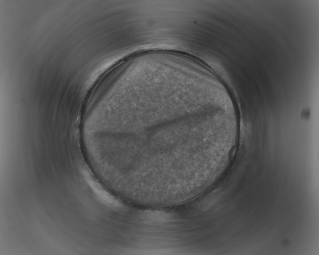 X0000116630389200912312204