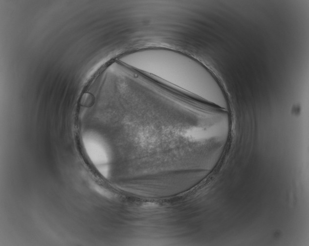 X0000116630390200912312204