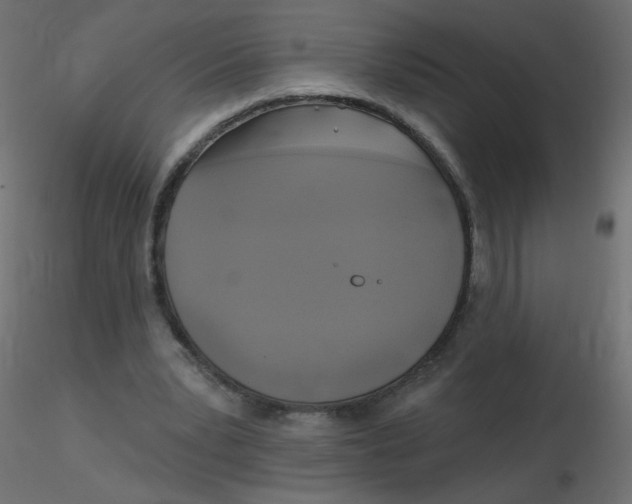 X0000116630391200912312204