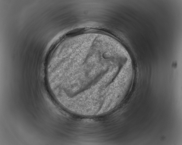 X0000116630392200912312204