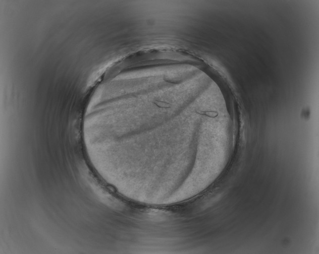 X0000116630393200912312204