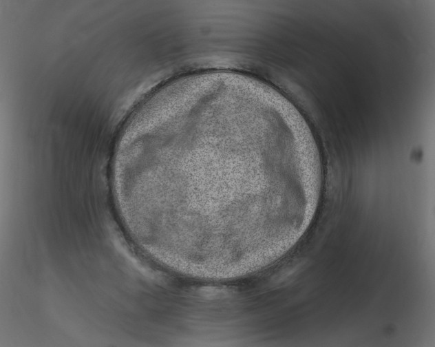 X0000116630394200912312204