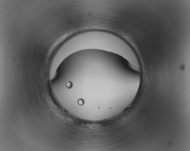 X0000116630395200912312204