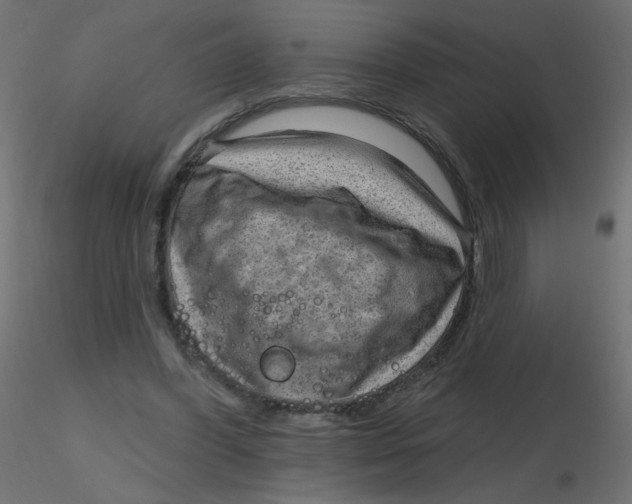 X0000116630396200912312204