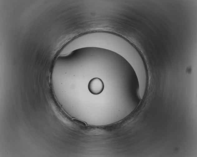 X0000116630397200912312204