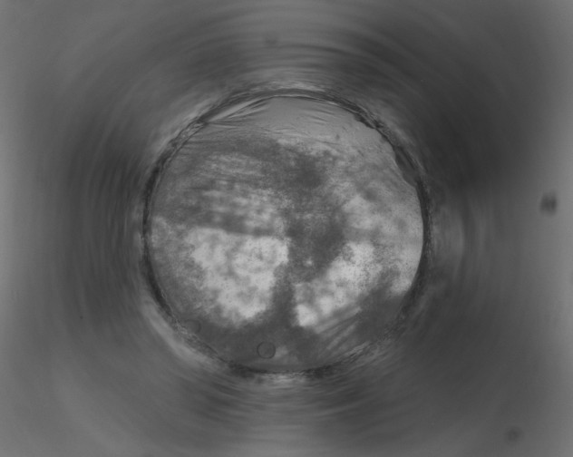 X0000116630398200912312204
