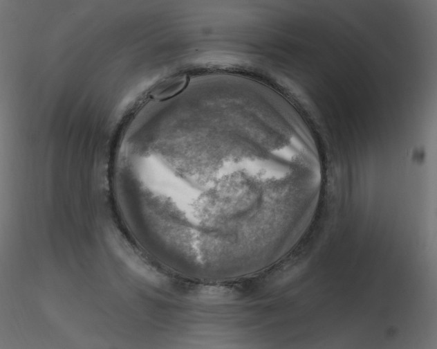 X0000116630399200912312204