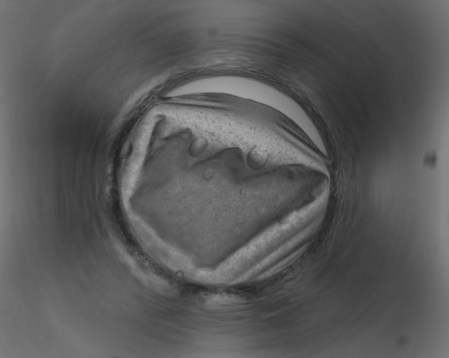 X0000116630400200912312204