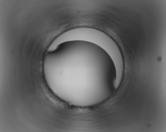 X0000116630401200912312204