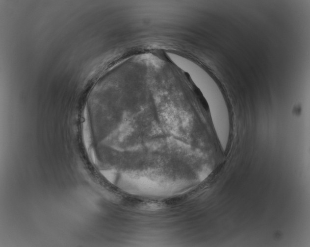 X0000116630402200912312204