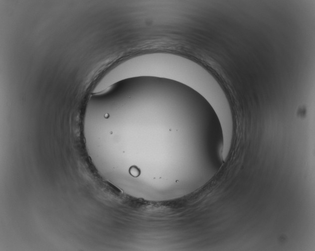 X0000116630403200912312204