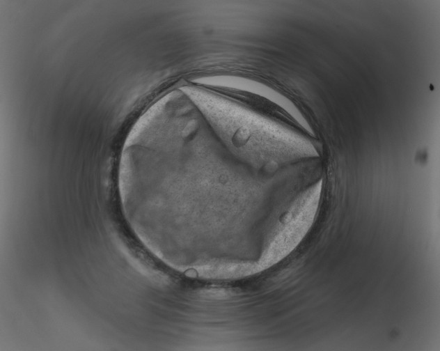 X0000116630404200912312204