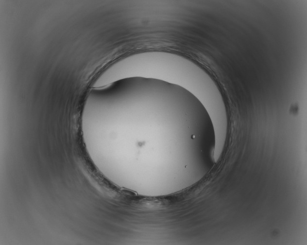 X0000116630405200912312204