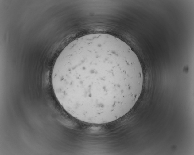 X0000116630406200912312204