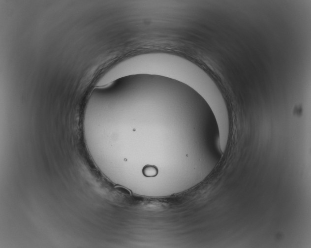 X0000116630407200912312204