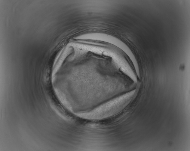 X0000116630408200912312204