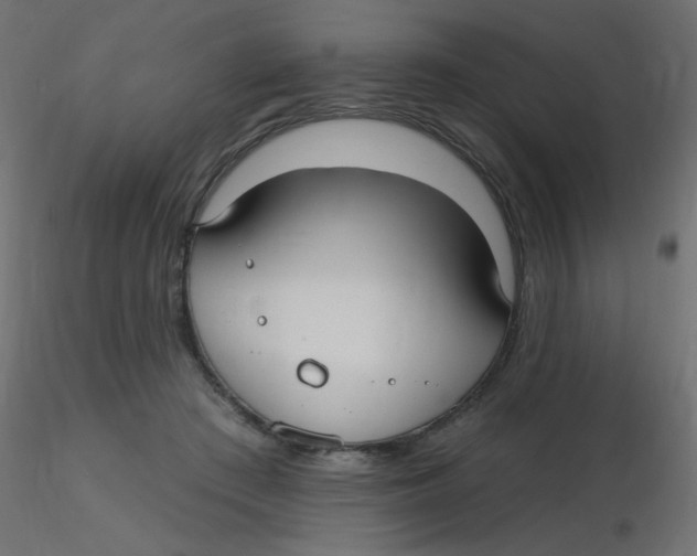 X0000116630409200912312204
