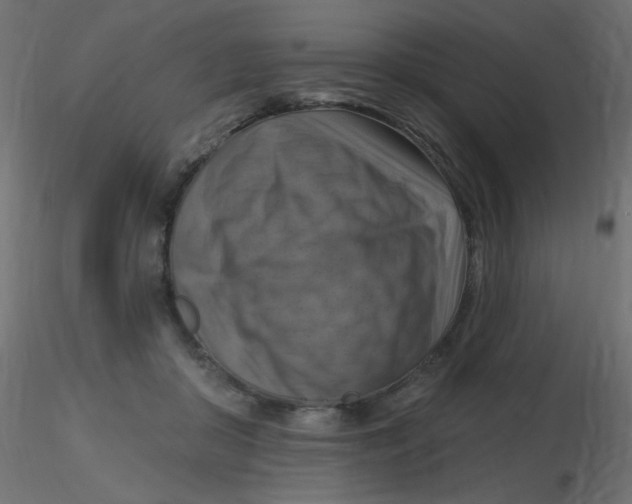 X0000116630410200912312204