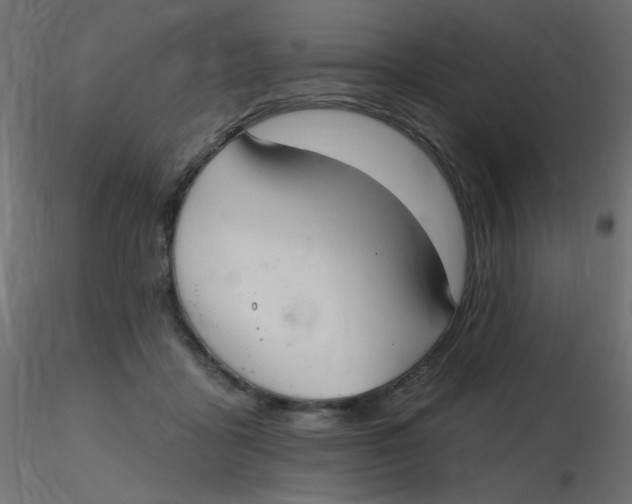 X0000116630411200912312204