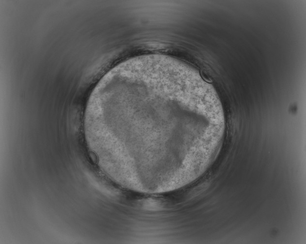 X0000116630412200912312204