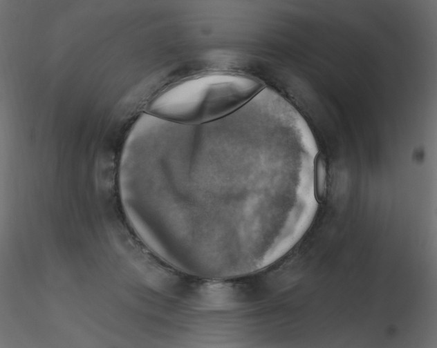 X0000116630413200912312204
