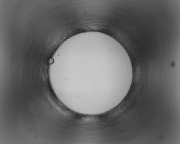 X0000116630414200912312204