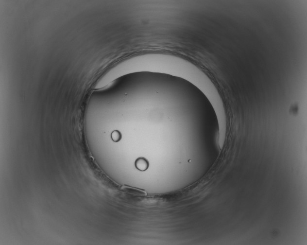 X0000116630415200912312204
