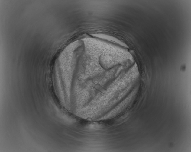 X0000116630416200912312204