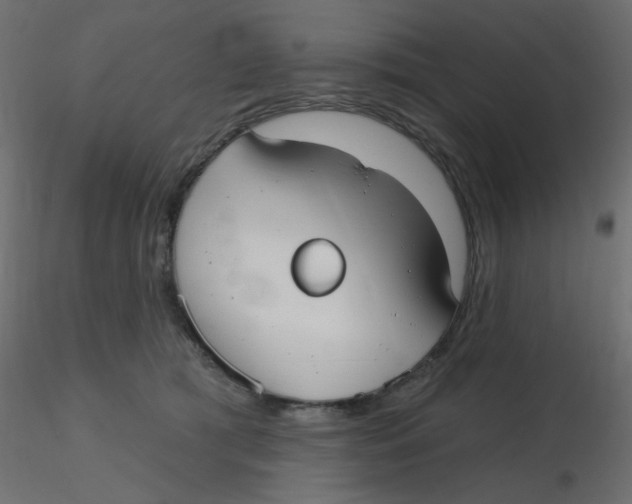 X0000116630417200912312204
